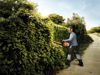 PictureAltAttribute - img-11-jpg